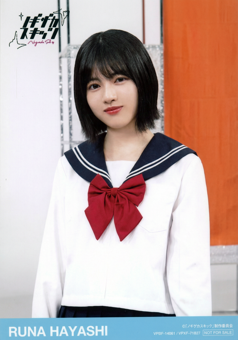 gemini-3-pro-image-preview-2k_a_ノイズ削除_高画質化 (99)