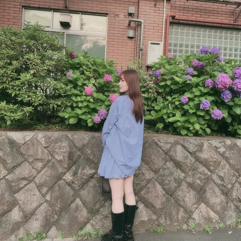 紫陽花の季節だね (1)