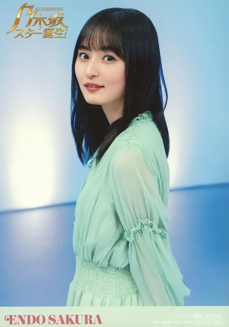 gemini-3-pro-image-preview-2k_a_ノイズ削除_高画質化 (71)