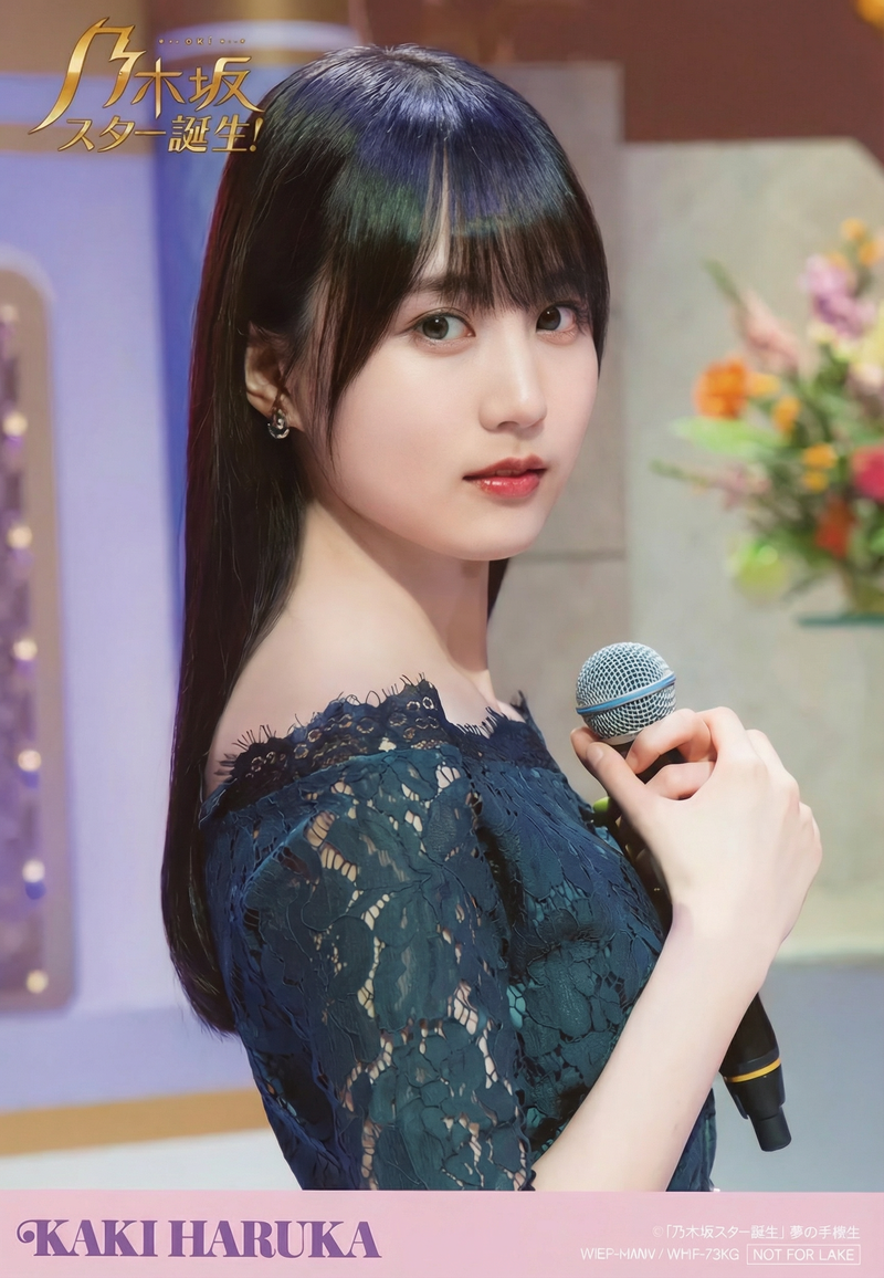 gemini-3-pro-image-preview-2k_a_ノイズ削除_高画質化 (72)