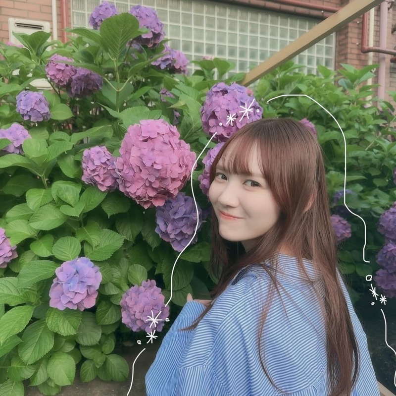 紫陽花の季節だね