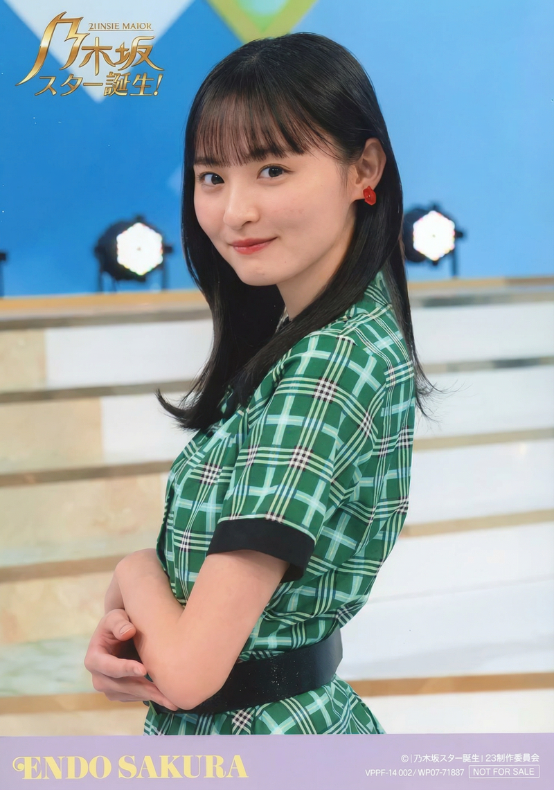 gemini-3-pro-image-preview-2k_a_ノイズ削除_高画質化 (78)