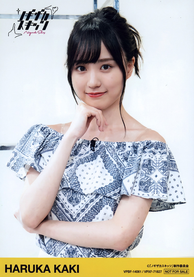gemini-3-pro-image-preview-2k_a_ノイズ削除_高画質化 (87)