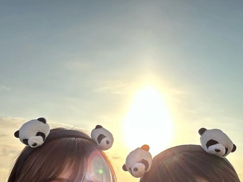 A08E016_熊本県玉名【遊園地】グリーンランド (42)