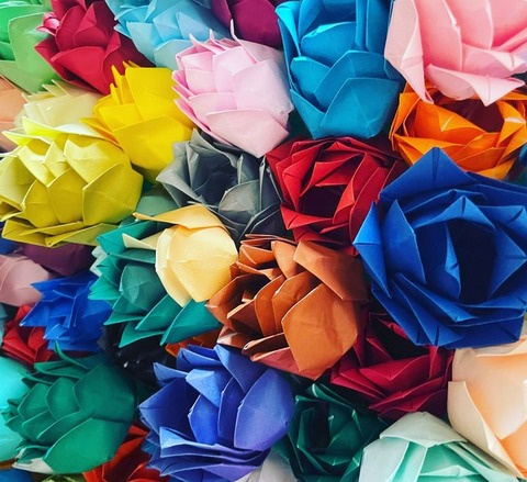 五百城_祝花 (6)