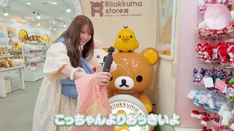 リラックマ ストア　原宿店　 ぬいぐるみ 3種 セット 渋谷区原宿【ぬいぐるみ】リラックマストア原宿 : 乃木旅