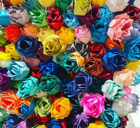 五百城_祝花 (9)