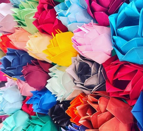 五百城_祝花 (2)