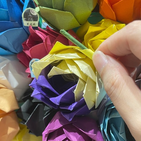 五百城_process (7)