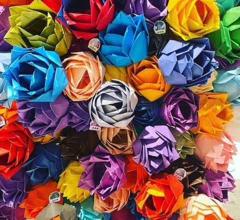 五百城_祝花 (10)