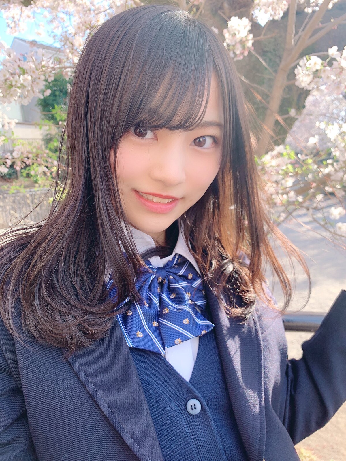 柊宇咲 : 美少女図鑑