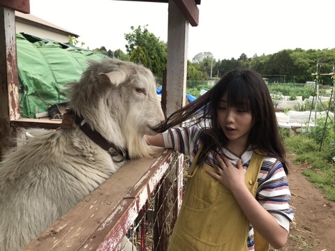 与田 祐希 食べ 方