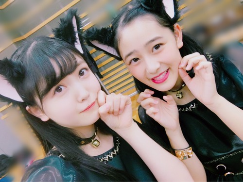 【乃木坂46】超絶可愛い！久保史緒里×向井葉月の黒猫2ショット！！