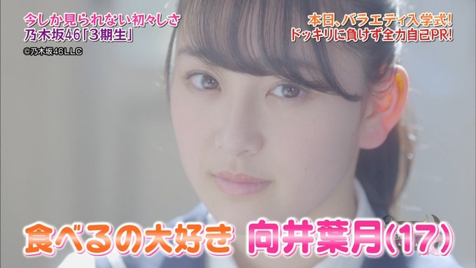 NOGIBINGO8!向井葉月 自己PR (3)