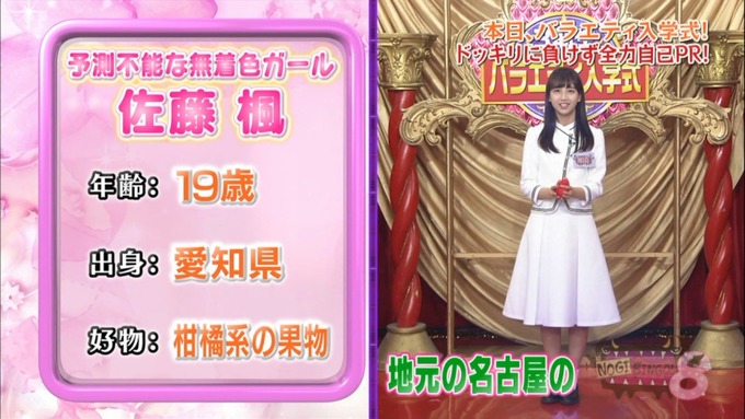 NOGIBINGO8 佐藤楓 自己PR (41)