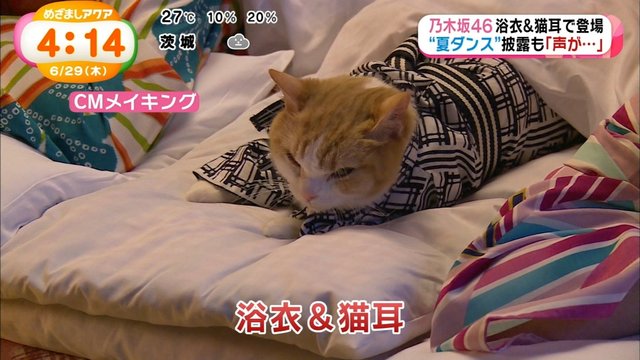 めざましアクア 新cm じゃらん 浴衣でねこダンス Q プライベートで旅行していたらファンにばれない 乃木坂46まとめ 乃木坂メモリーズ