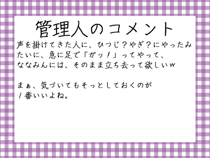 管理人のコメント 橋本奈々未道端