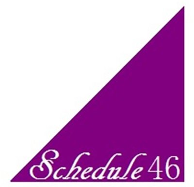 乃木坂46 スケジュール