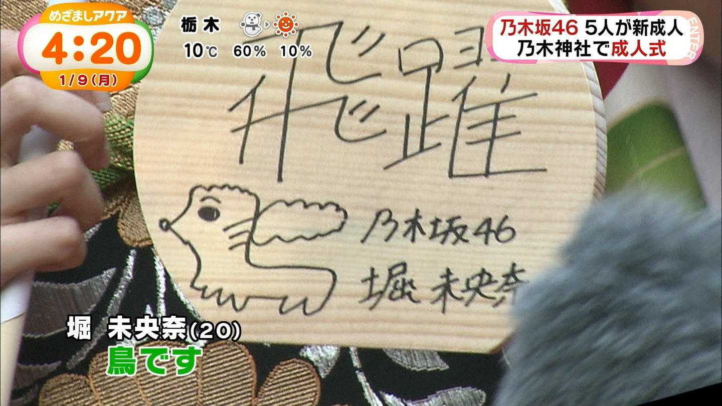絵馬に書いた堀画伯の絵 乃木坂46まとめ 乃木坂メモリーズ 絵馬に書いた堀画伯の絵 乃木坂46まとめ 乃木坂メモリーズ