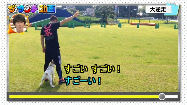 ライオンのグータッチ 西野七瀬 初めて見る犬の芸に驚く 乃木坂46まとめ 乃木坂メモリーズ ライオンのグータッチ 西野七瀬 初めて見る犬の芸に驚く 乃木坂46まとめ 乃木坂メモリーズ