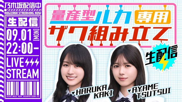 haruka81