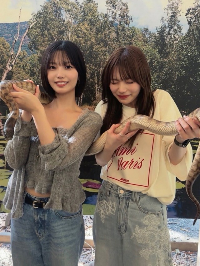 hina65