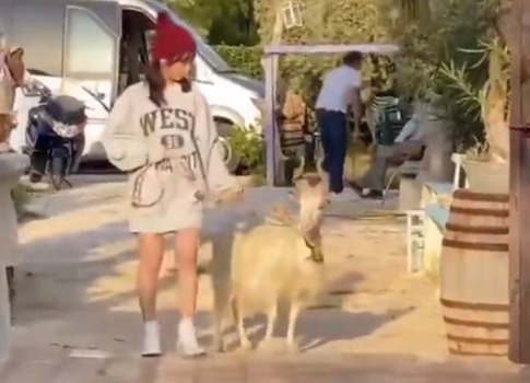 タイトルなし