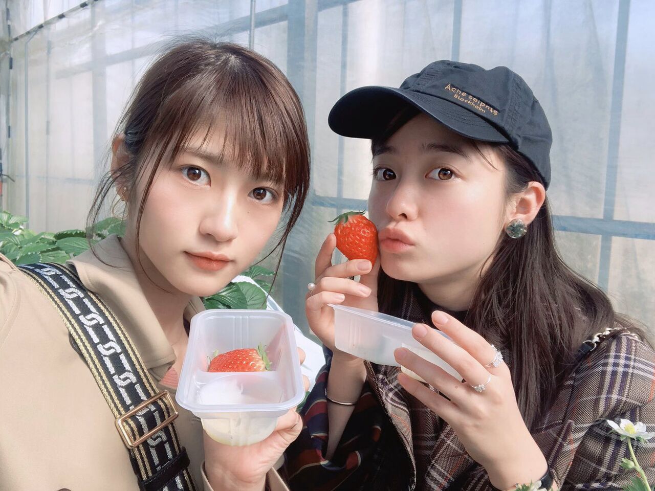 佑美 月 桜井 若 玲香