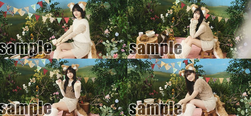 スクリーンショット 2026-02-13 15.33.10