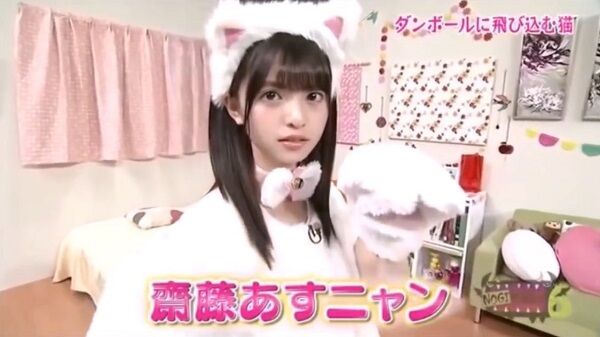 猫ちゃん画像 乃木坂ver 気になるチャックの下げ具合ｗ 乃木坂46 乃木坂46まとめアンテナ