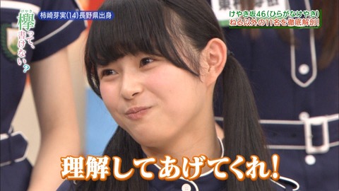 けやかけ88