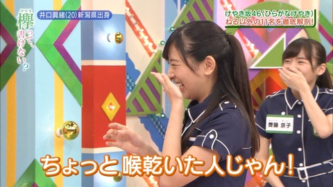 けやかけ134