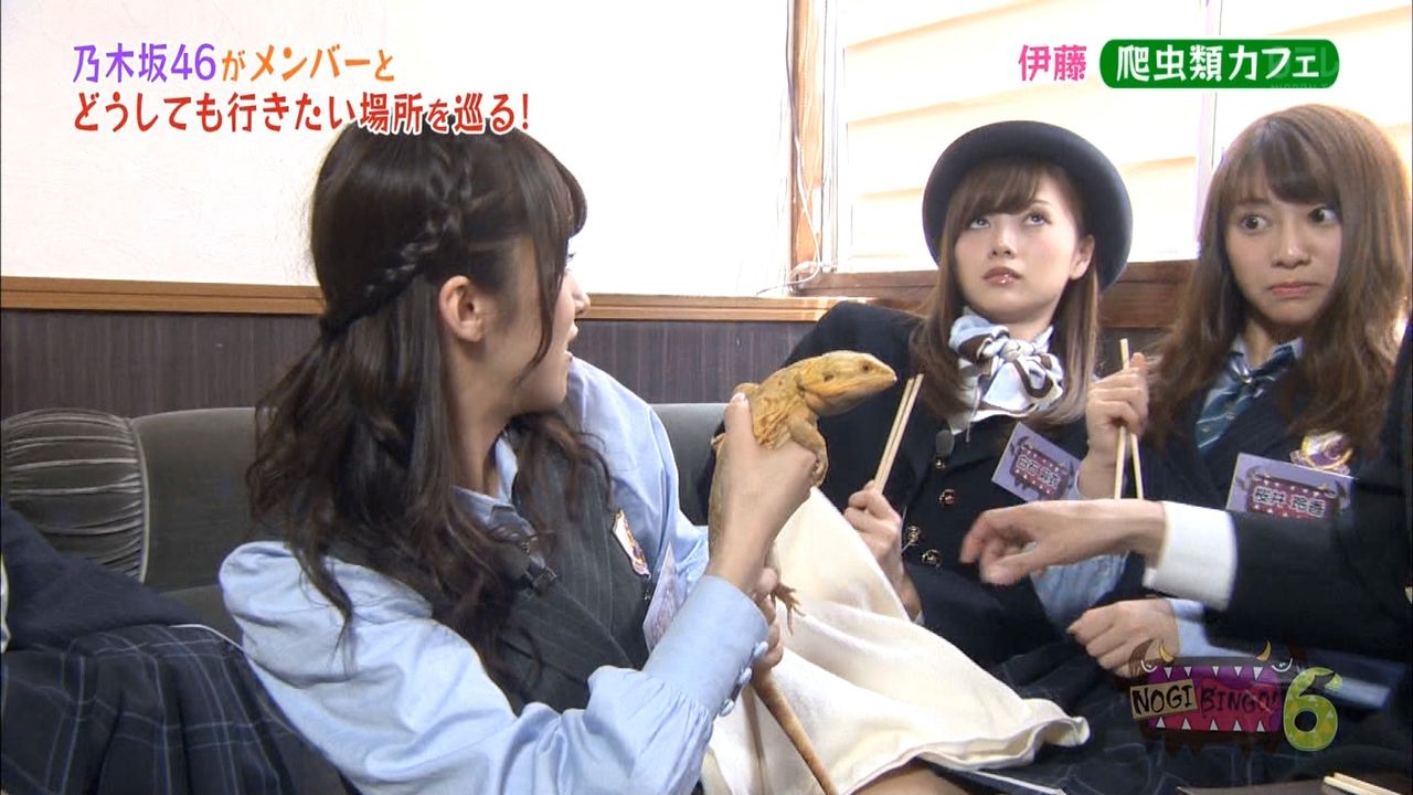 乃木坂46 爬虫類カフェでのまいやんのリアクション面白すぎたw 乃木坂メモワール 乃木坂46 爬虫類カフェでのまいやんのリアクション面白すぎたw 乃木坂メモワール