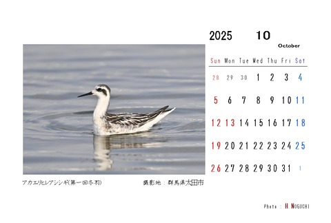 2025-10