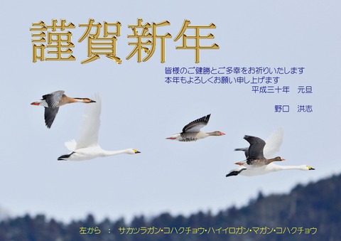 2018謹賀新年