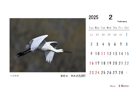 2025-02