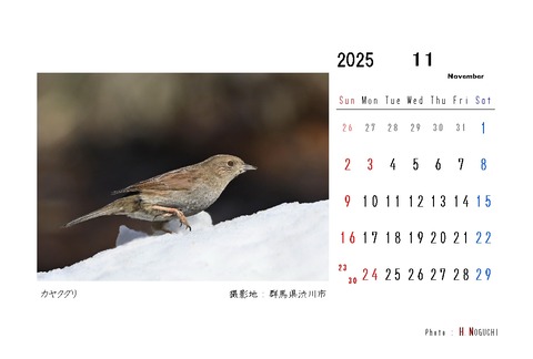 2025-11