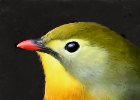 ソウショウ7003(8758)