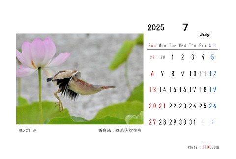 2025-07