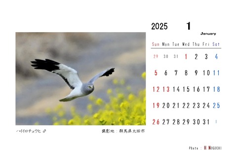 2025-01
