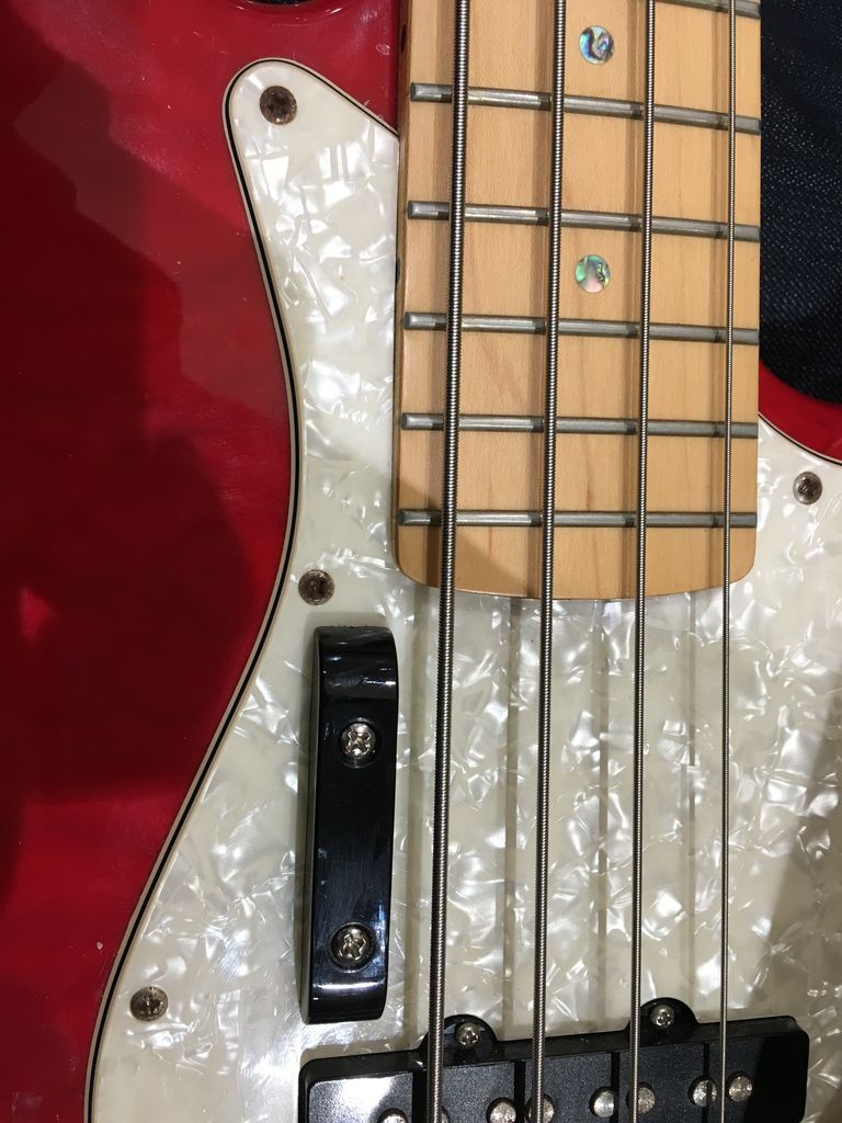 楽器屋に行ってきた のぐちのblog