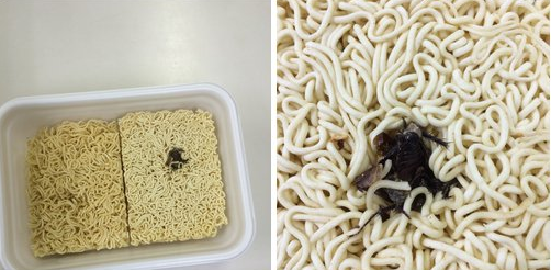 異物混入 : 脳内写生3