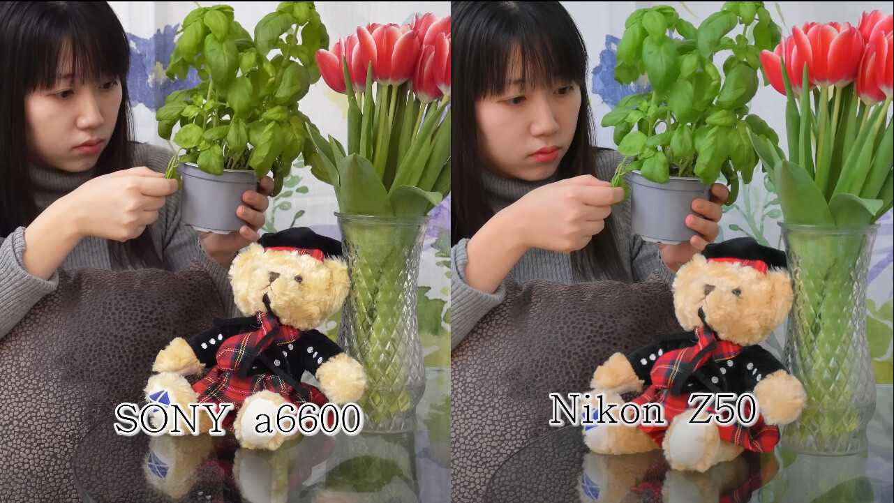 CANON、SONY、Nikonの3機種比較 : のほほんブログ