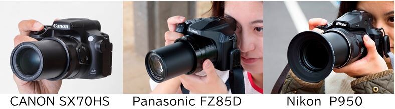 ファミリーユースの撮影にネオ一眼は向くのか？ : のほほんブログ