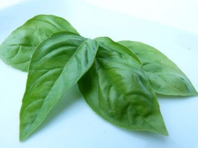 バイキング バジルシードダイエットの効果 チアシードとの違い バジルシードの正しい食べ方 12月2日放送 むーさん的ハッピーダイエット バイキング バジルシードダイエットの効果 チアシードとの違い バジルシードの正しい食べ方 12月2日放送 むーさん的ハッピーダイエット