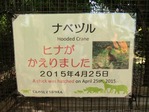 tnjz143401