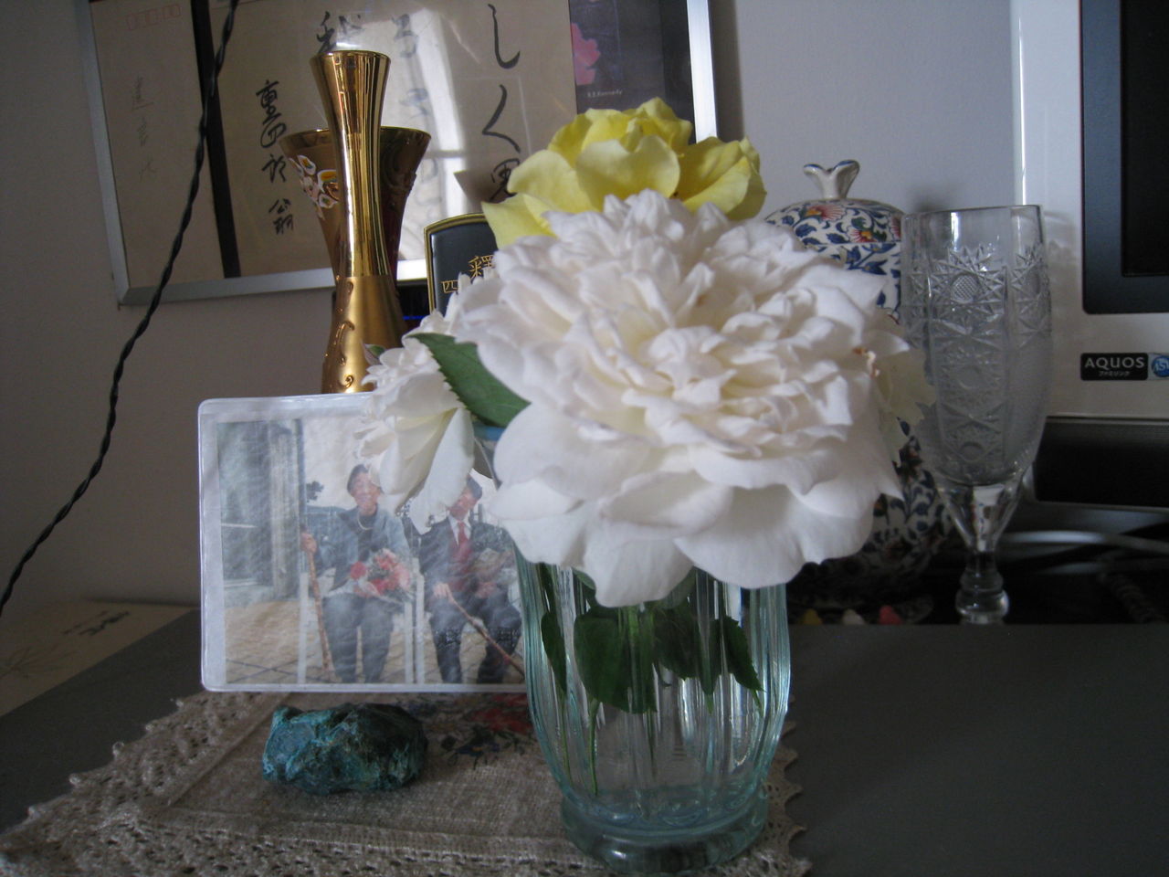 ボレロの新苗に花を咲かせました Noiniのblog ボレロの新苗に花を咲かせました Noiniのblog