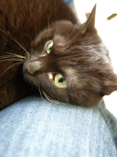 2008.06.12