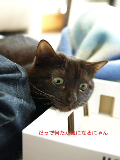 2008.04.07