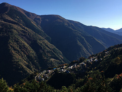 shimokuri